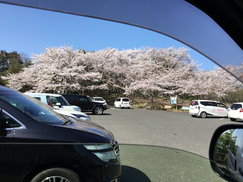 56006B66-B842-4406-A85C-8B4827F382EE